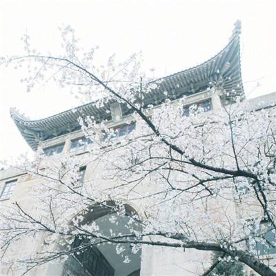 被北京暴雨“冲毁”的悉昙酒店恢复营业，每晚7000元起，首日万元房型售罄
