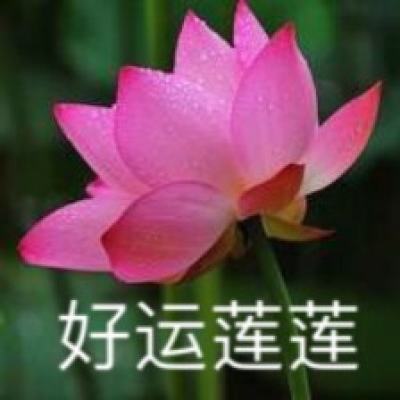马英九率台青抵达广东交流参访 宋涛在深圳会见